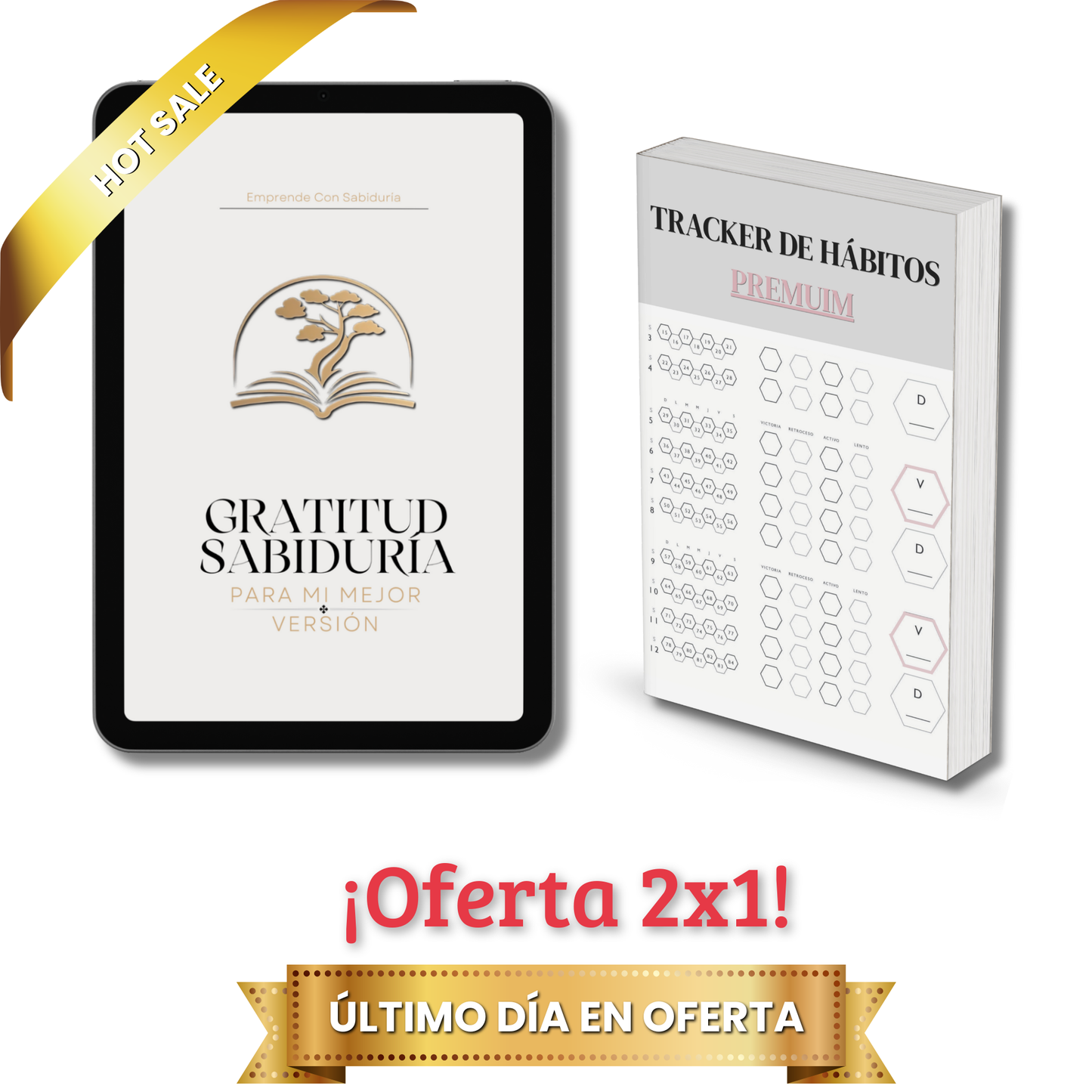 Diario de Manifestación y Consciencia + Tracker de Hábitos